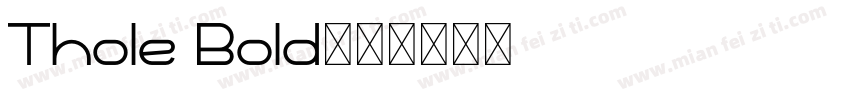 Thole Bold字体转换